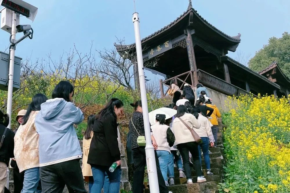 獻(xiàn)禮3.8節(jié)|勇做攀登者，奮進(jìn)新未來(lái)