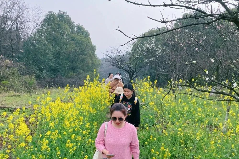 獻(xiàn)禮3.8節(jié)|勇做攀登者，奮進(jìn)新未來(lái)