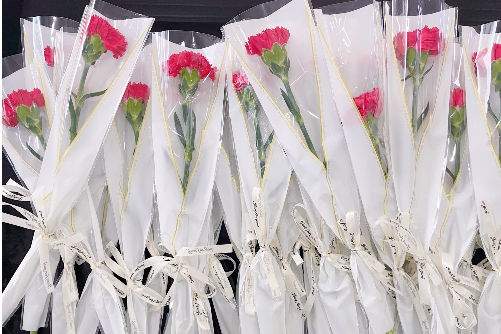 獻(xiàn)禮3.8節(jié)|勇做攀登者，奮進(jìn)新未來(lái)